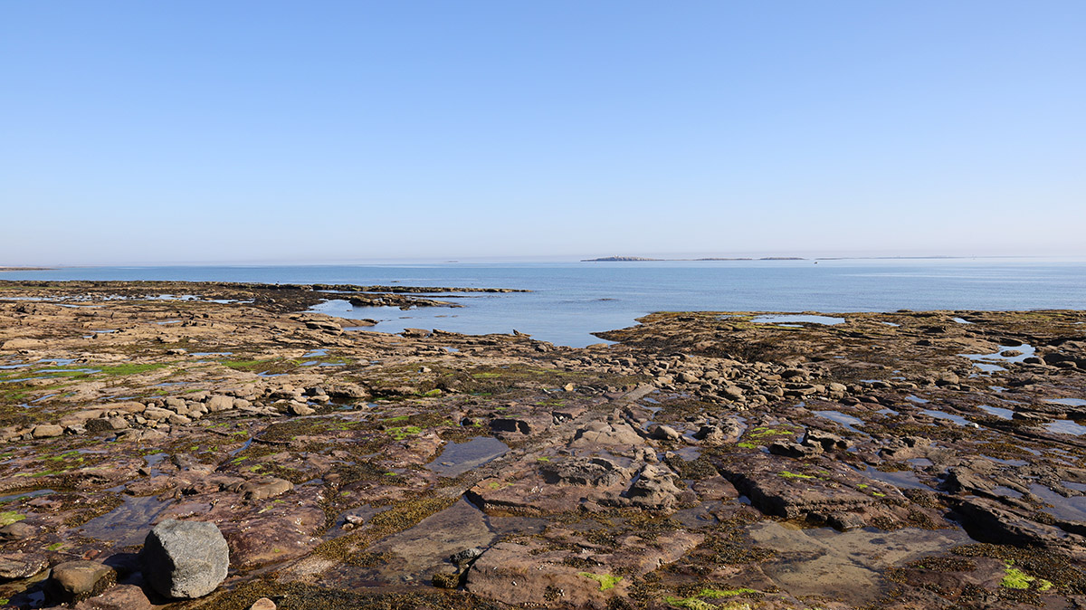 Farne Islands